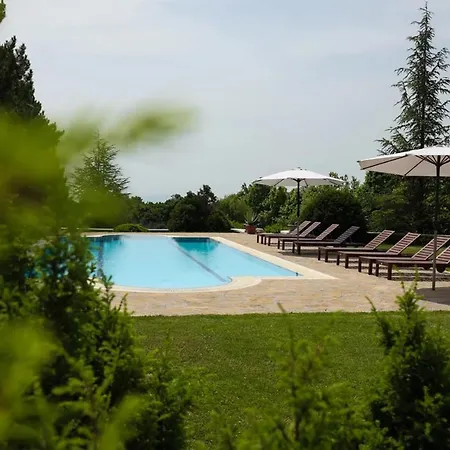 Alexandra Szentantalfa