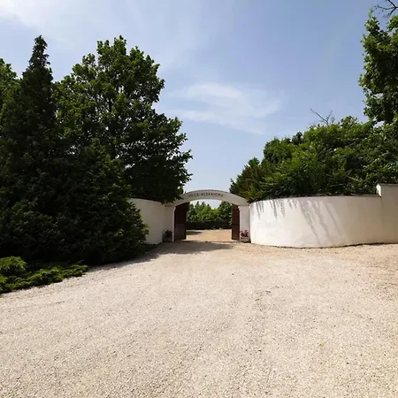 Alexandra Szentantalfa