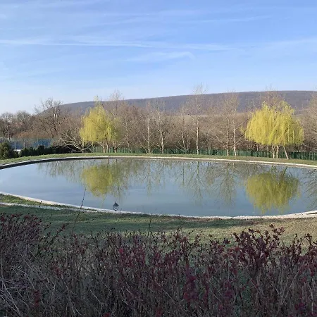 Alexandra Szentantalfa